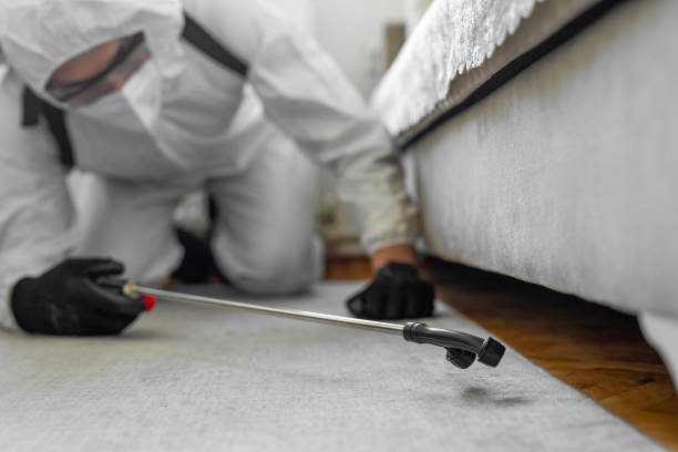 Professional Bed Bug Control technician working in Brookville, NY