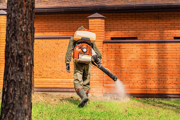 Trusted Ant Control service in Brookville, NY - Nex Pest Control